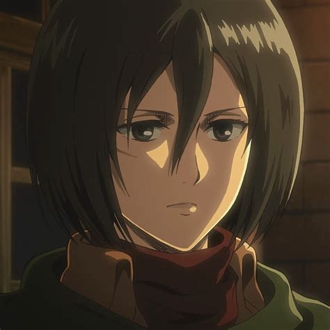 mikasa anime